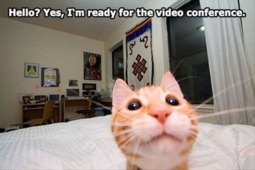 funny video call anxiety meme practicing greeting